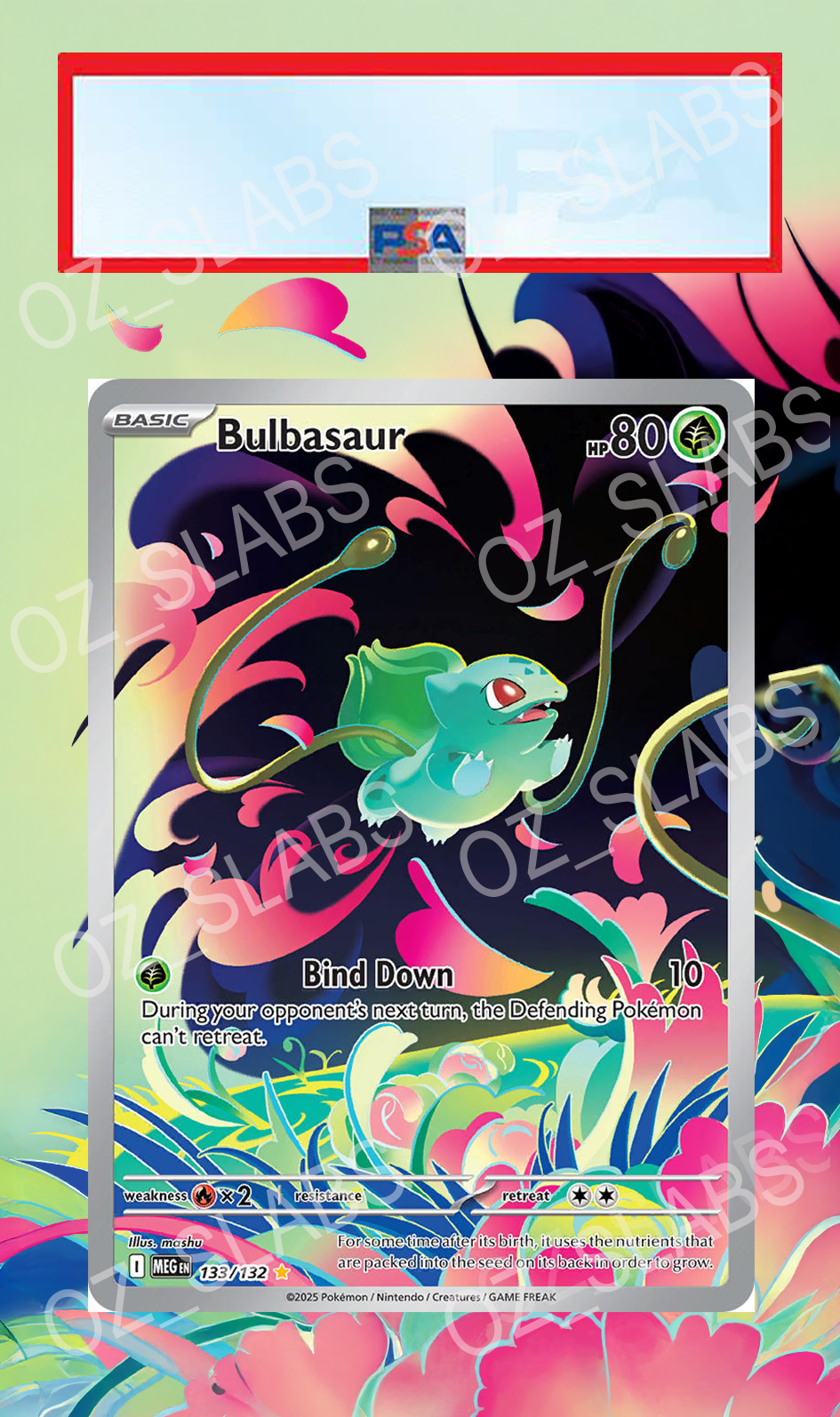 Bulbasaur extended art case