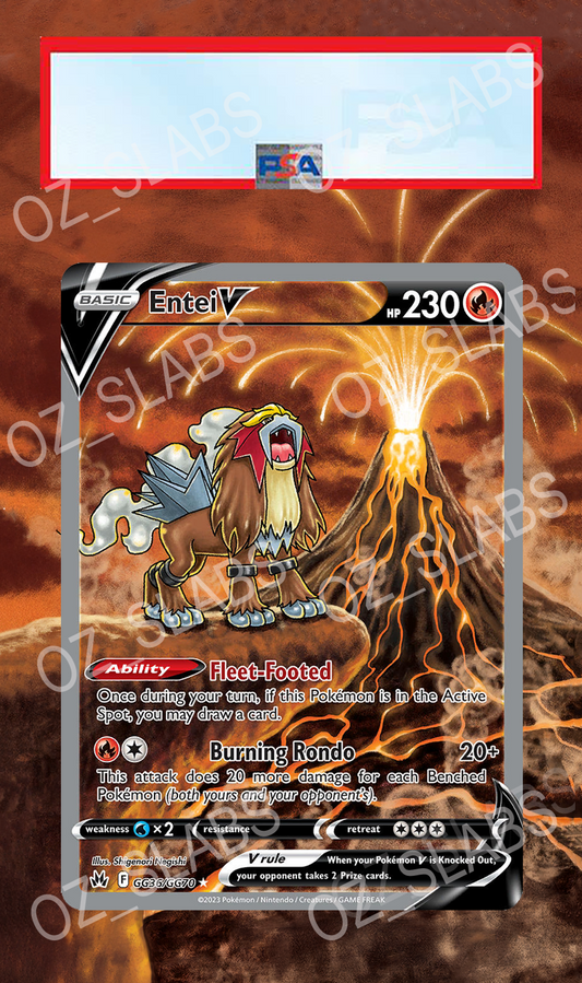 Entei V extended art case