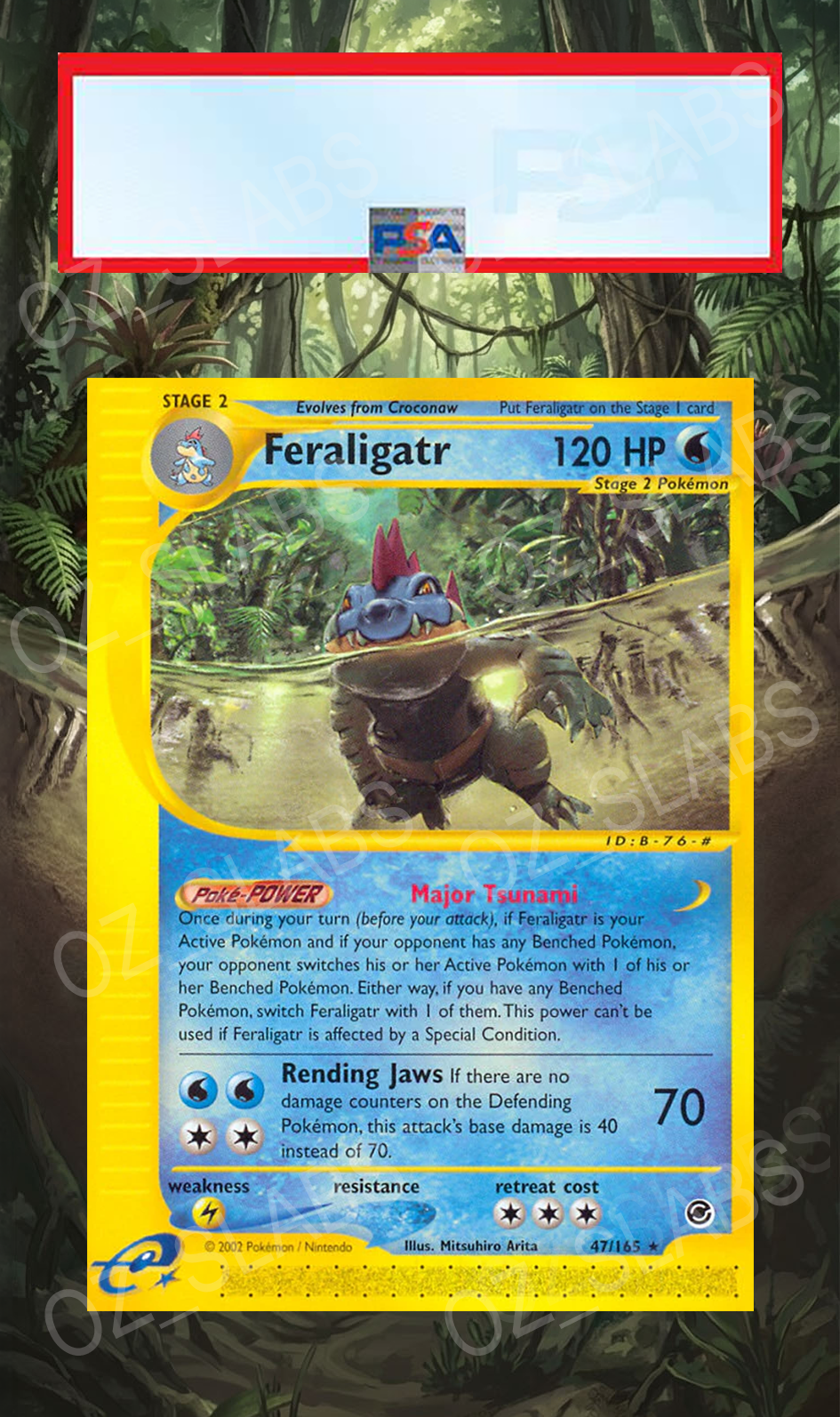 Feraligatr extended art case