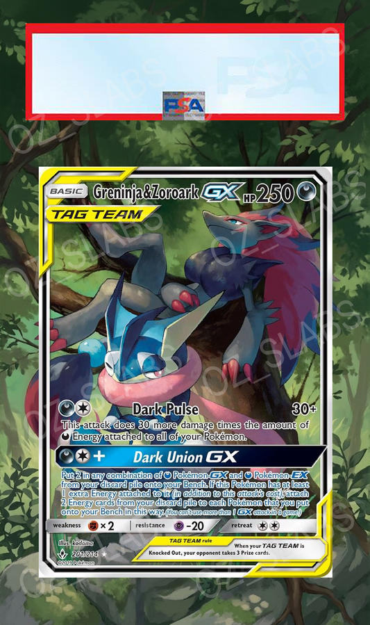 Greninja & Zoroark GX extended art case