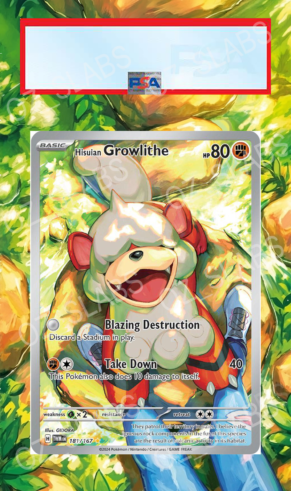 Hisuian Growlithe extended art case