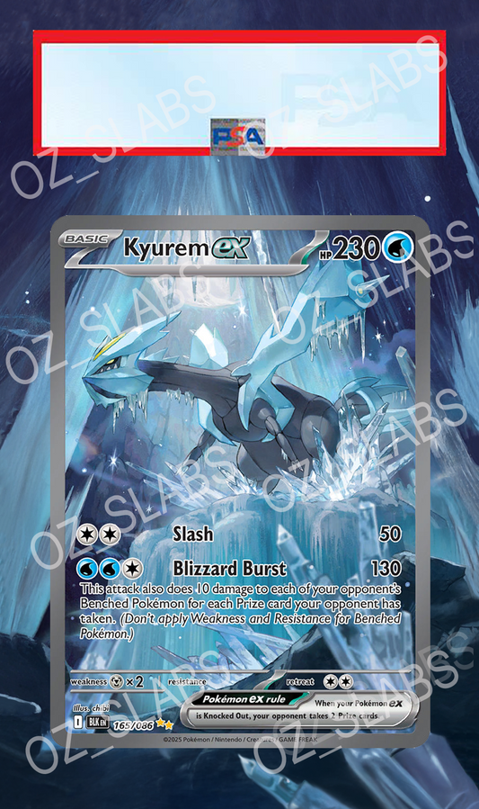 Kyurem EX extended art case