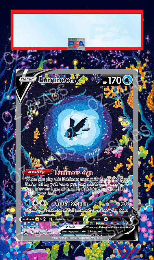 Lumineon V extended art case
