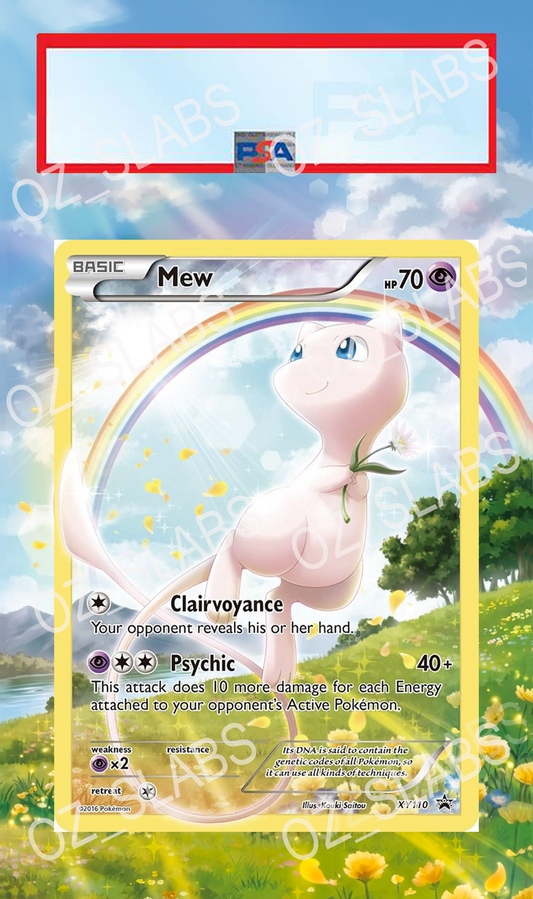 Mew extended art case