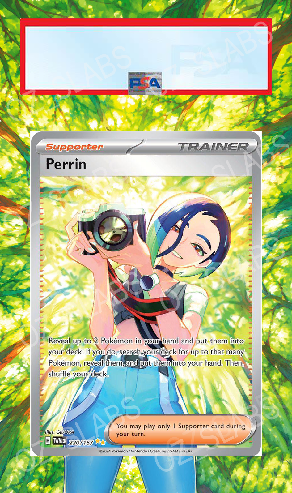 Perrin extended art case
