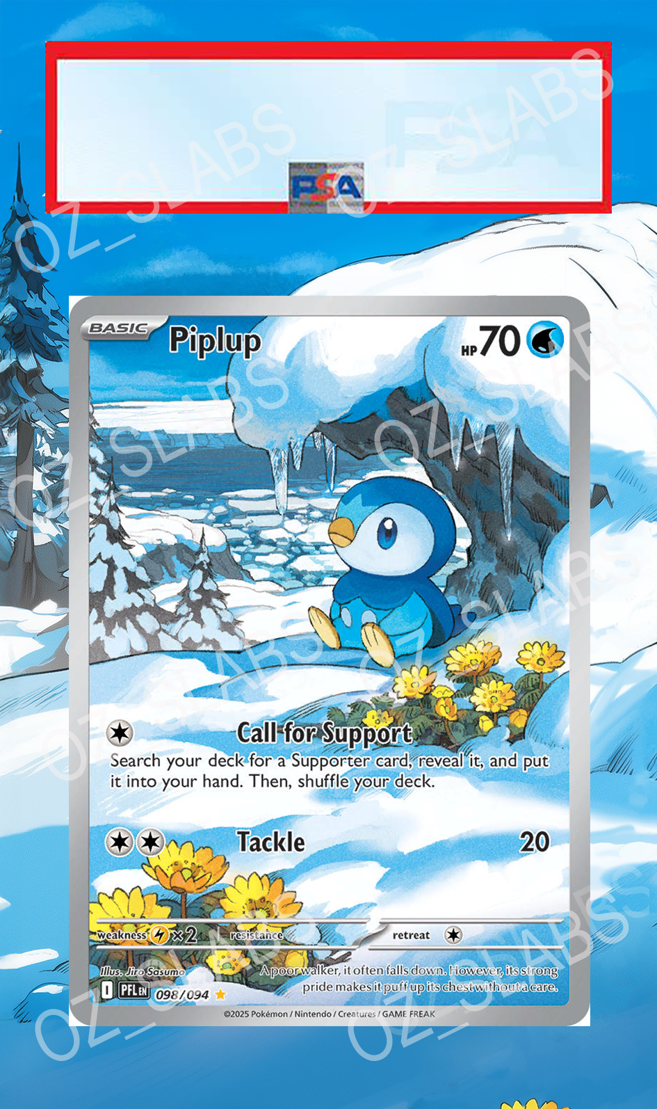 Piplup extended art case