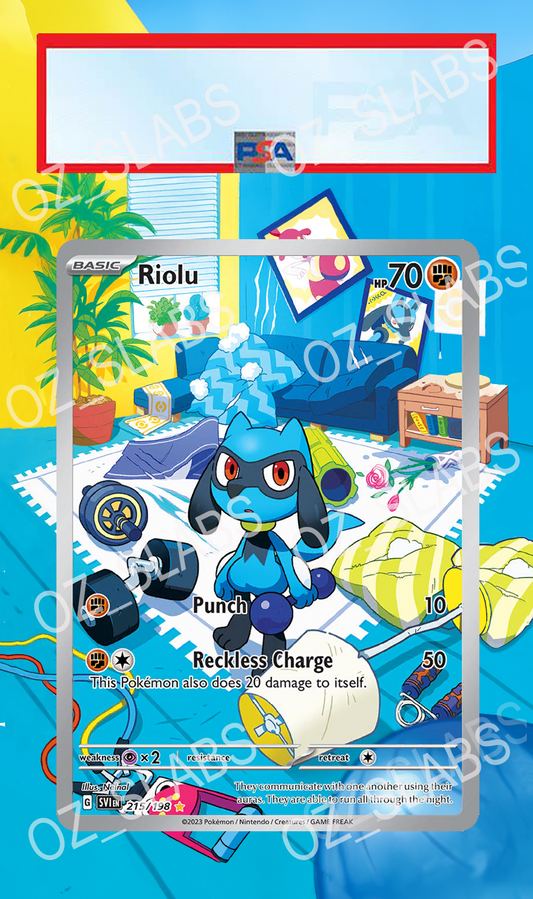 Riolu extended art case