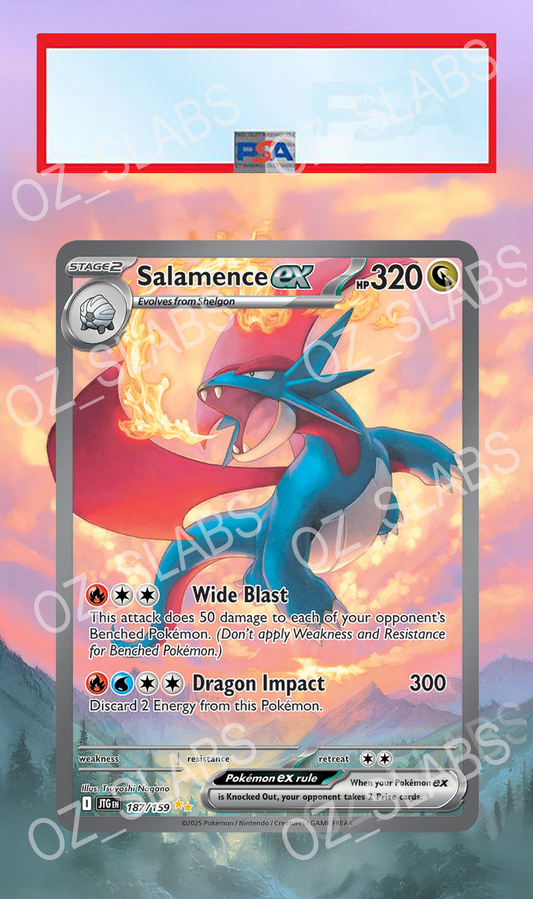 Salamence EX extended art case
