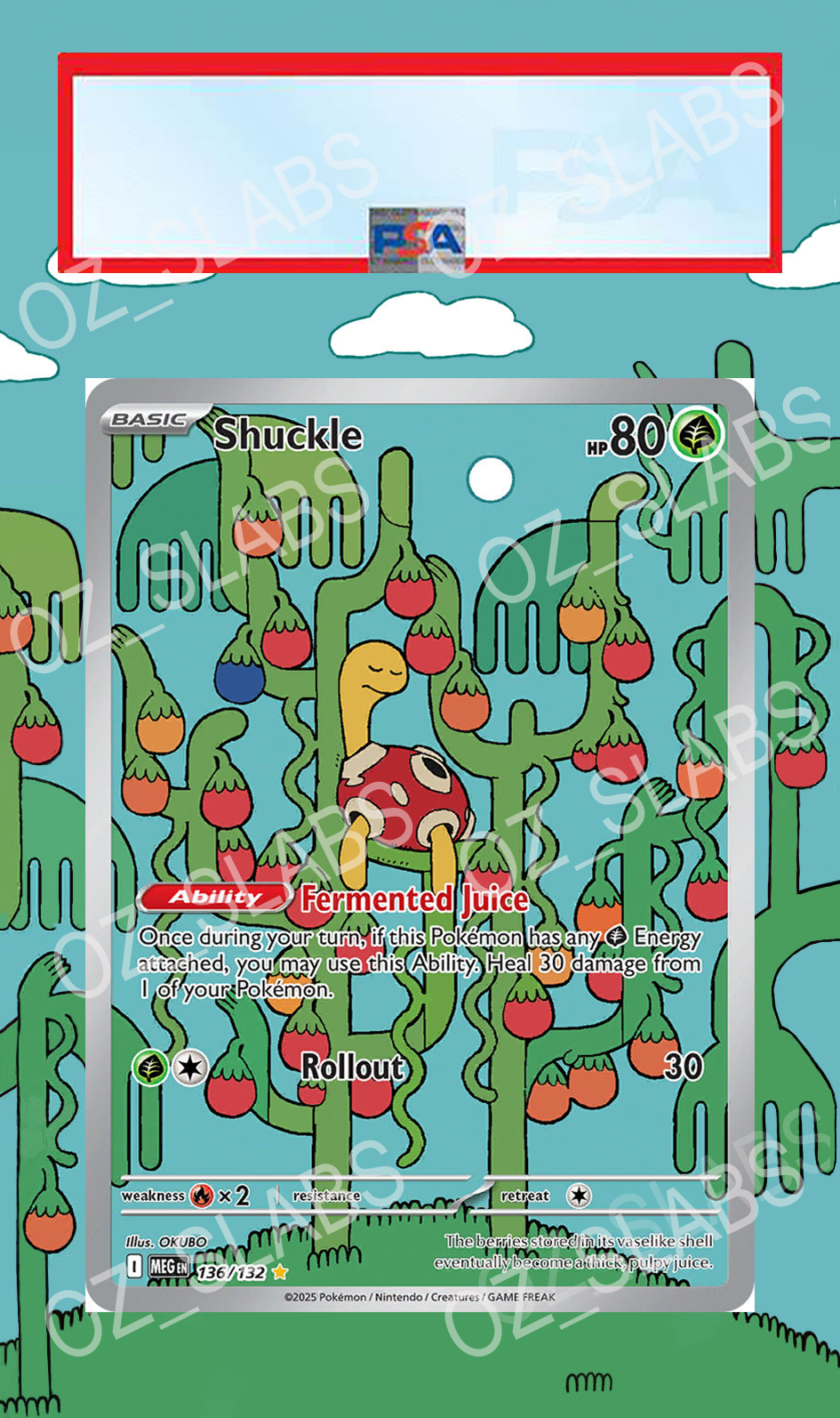 Shuckle extended art case