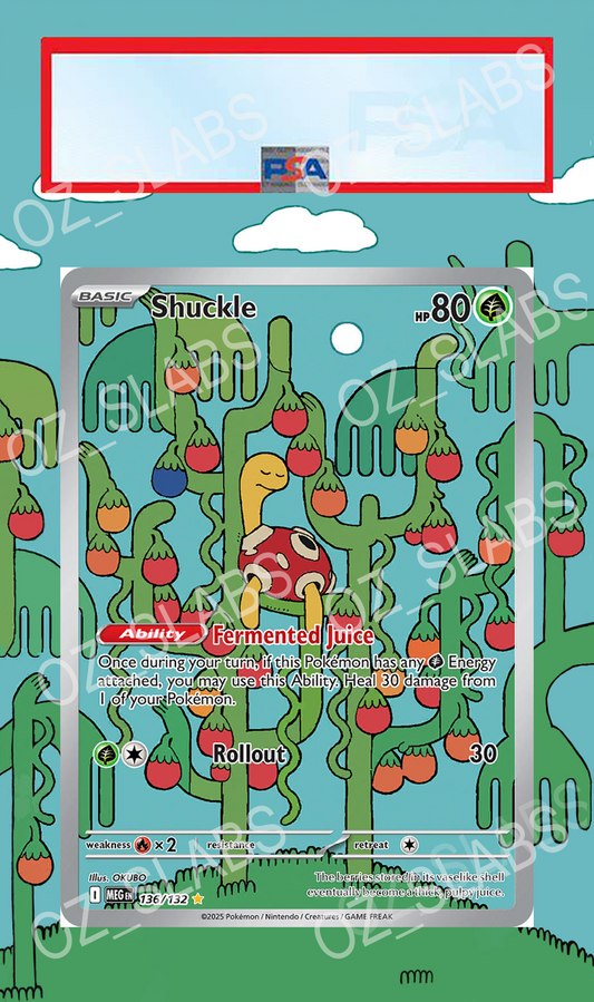 Shuckle extended art case