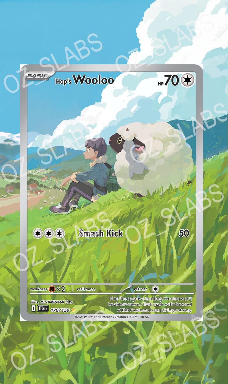 Hop's Wooloo extended art case