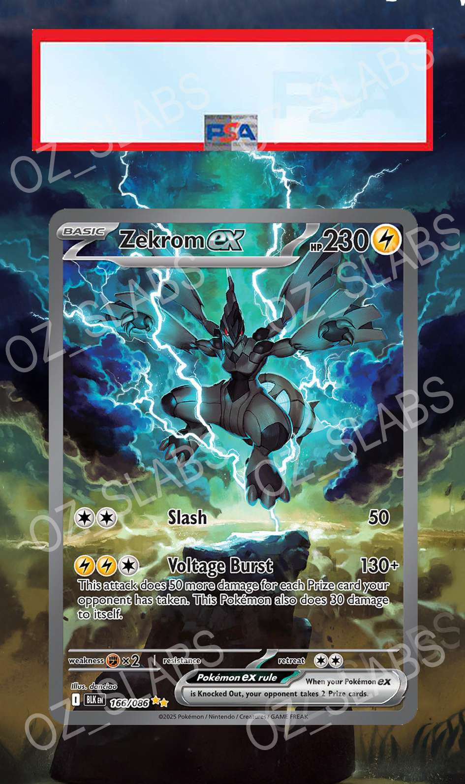 Zekrom EX extended art case