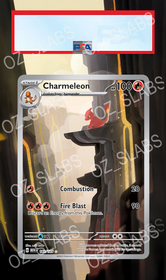Charmeleon extended art case