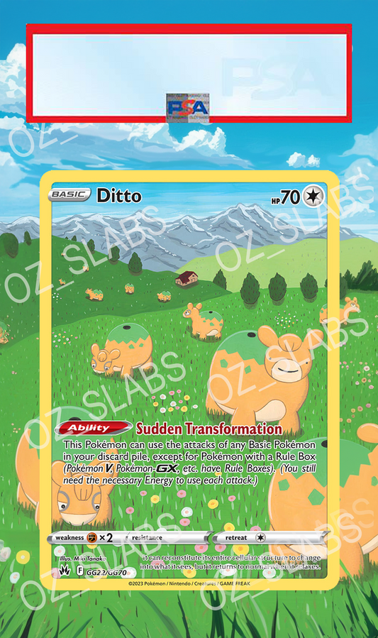 Ditto extended art case