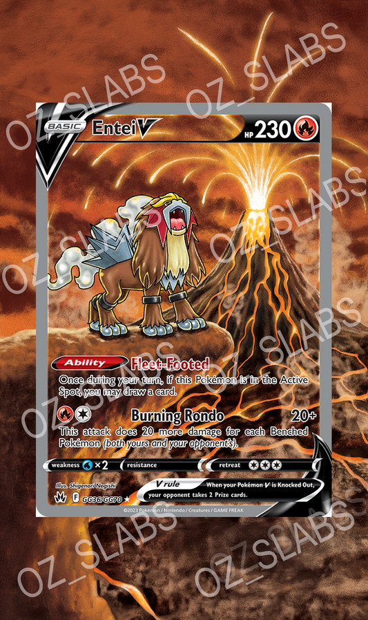 Entei V extended art case
