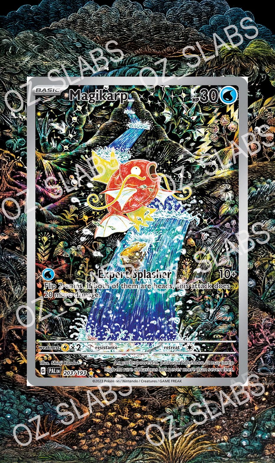 Magikarp extended art case
