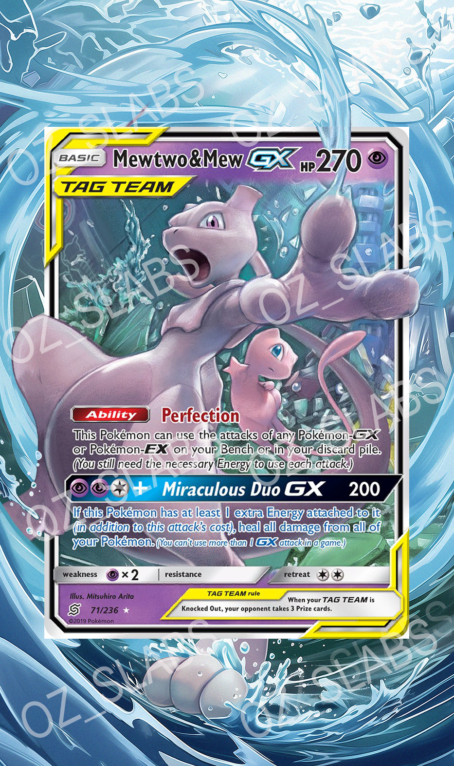 Mewtwo & Mew GX extended art case