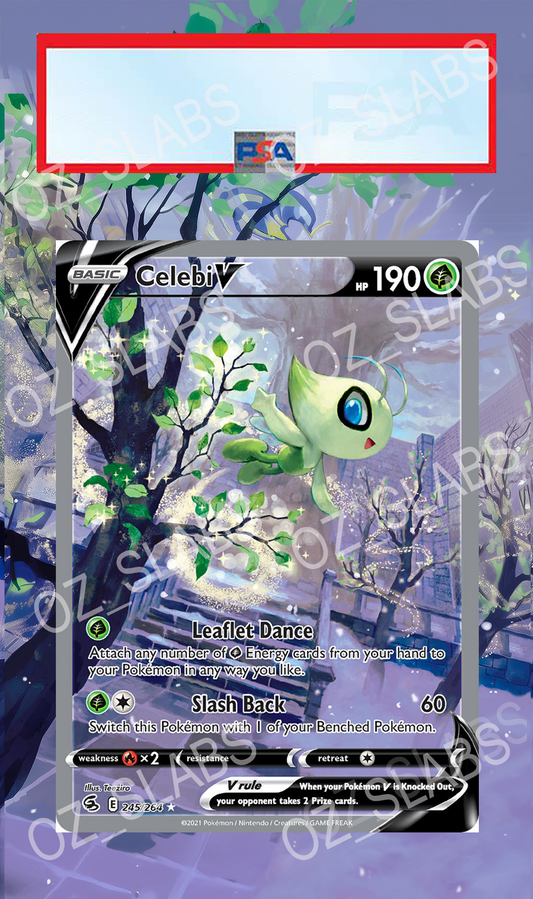 Celebi V extended art case