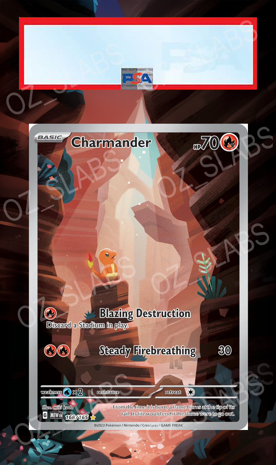 Charmander extended art case