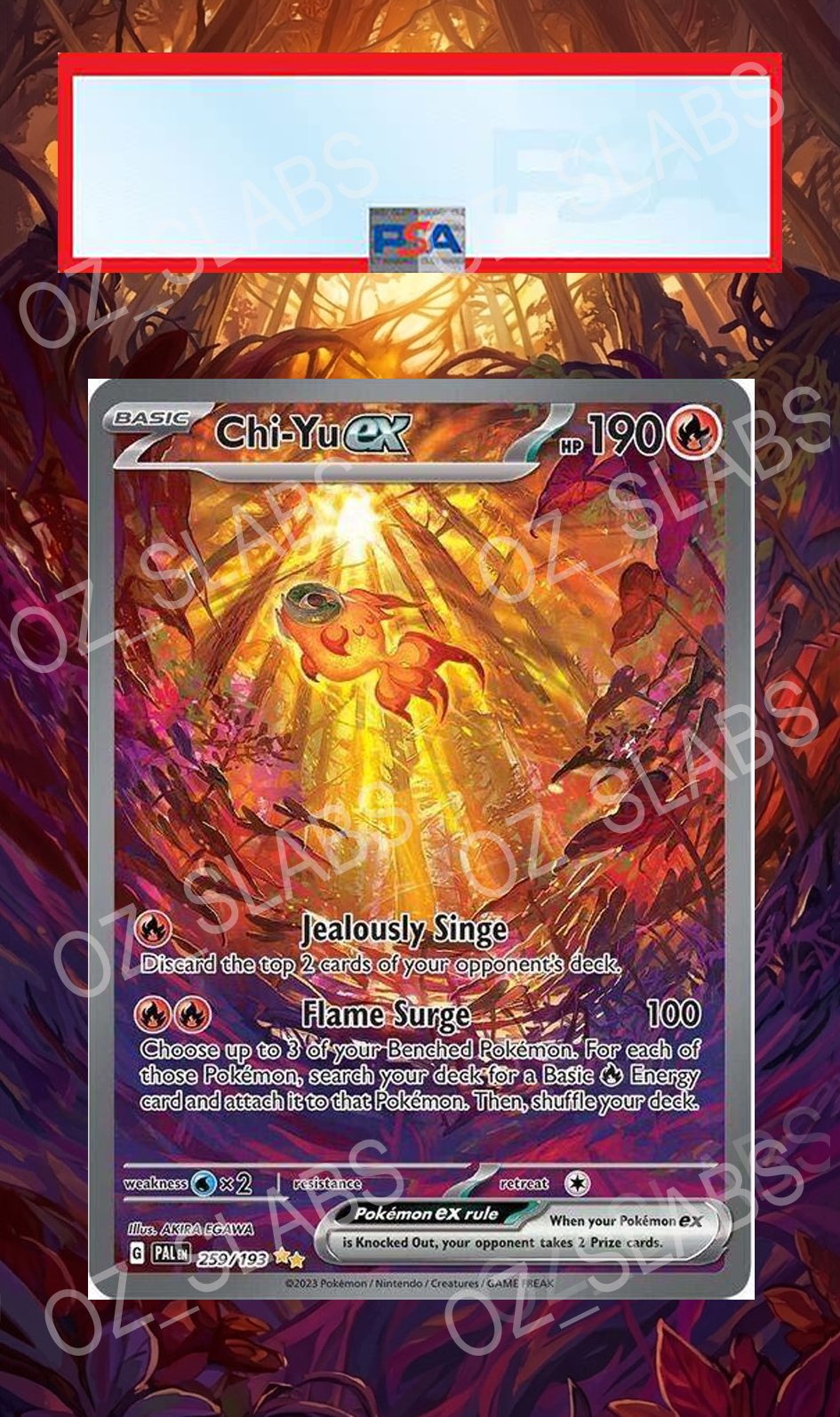 Chi-Yu EX extended art case