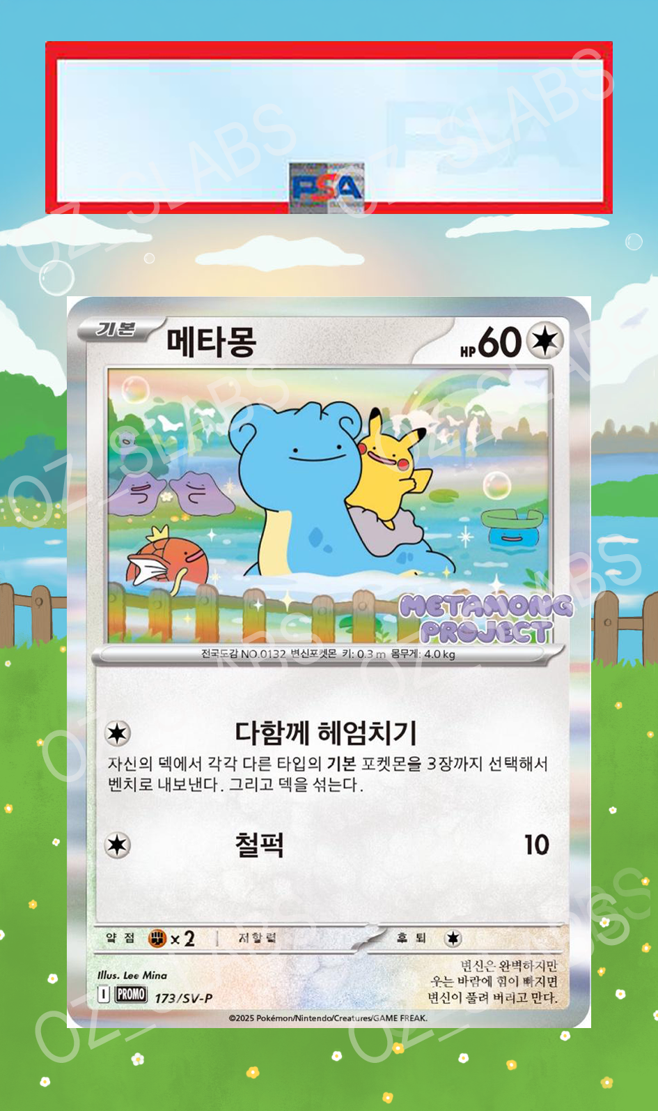 Ditto extended art case