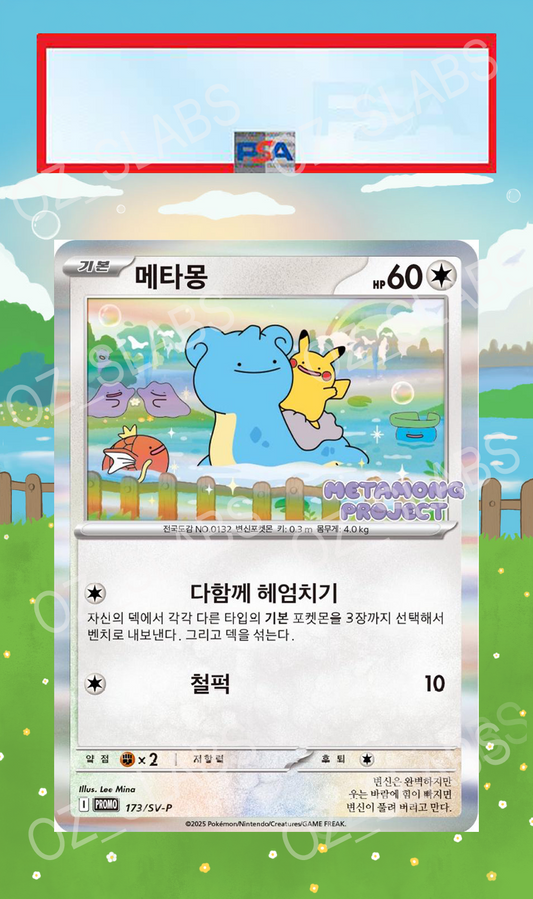 Ditto extended art case