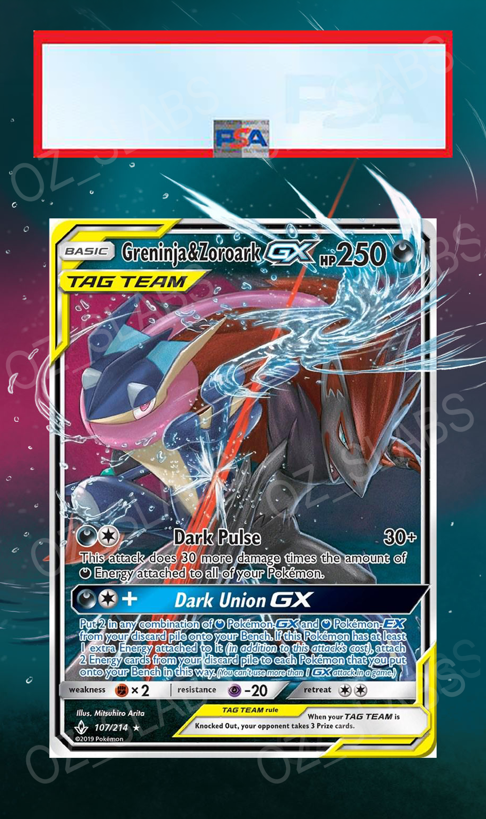Greninja & Zoroark GX extended art case