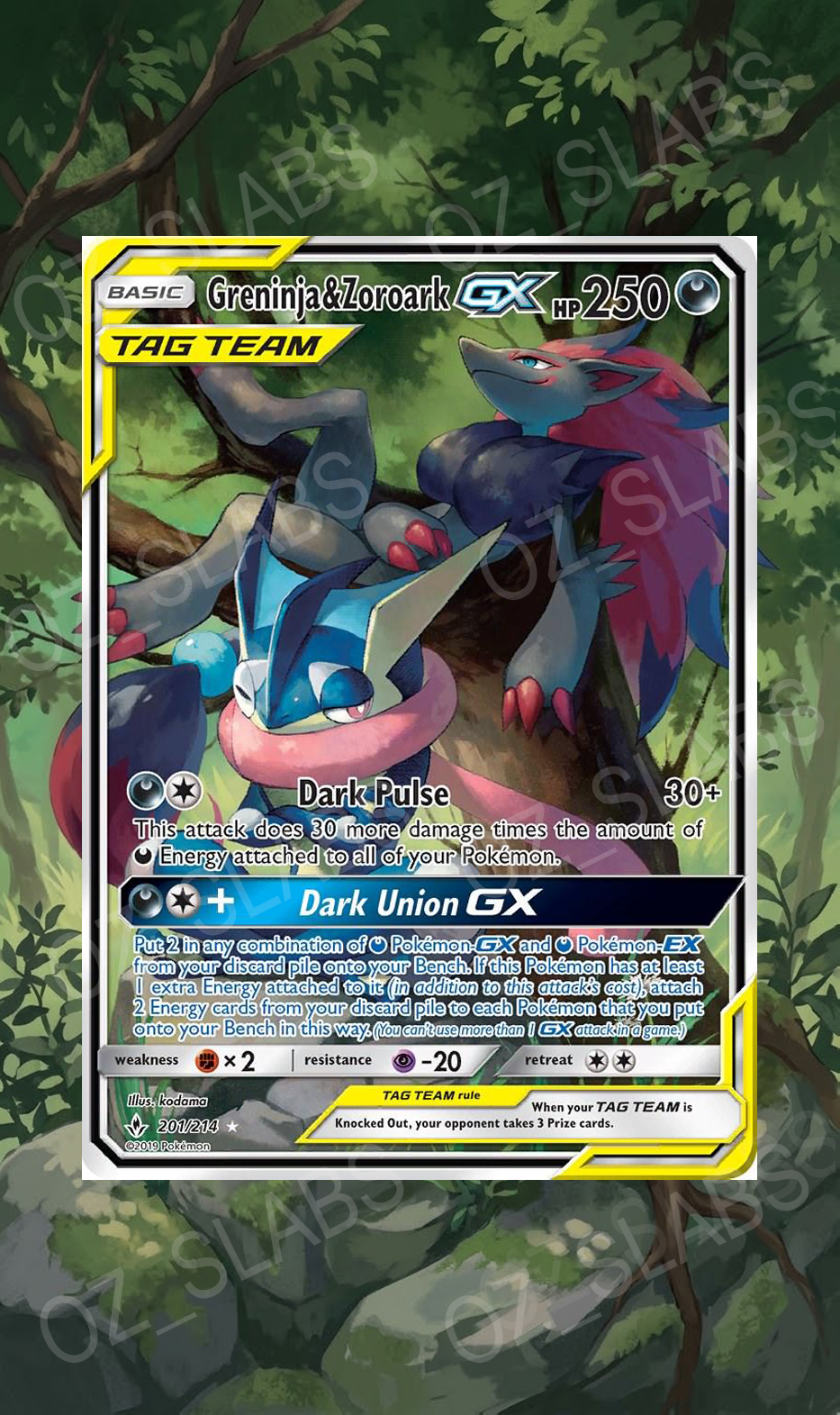 Greninja & Zoroark GX extended art case