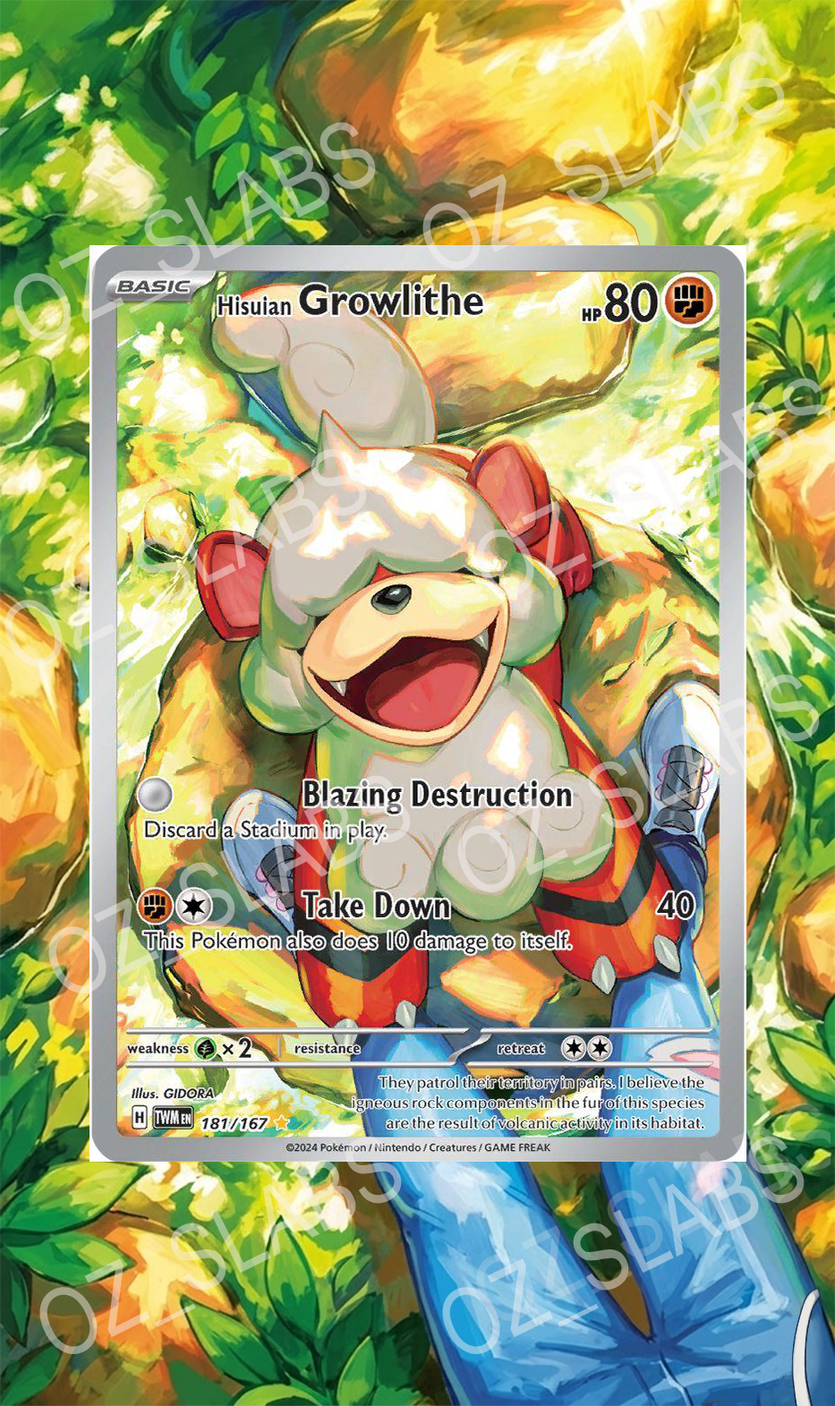 Hisuian Growlithe extended art case
