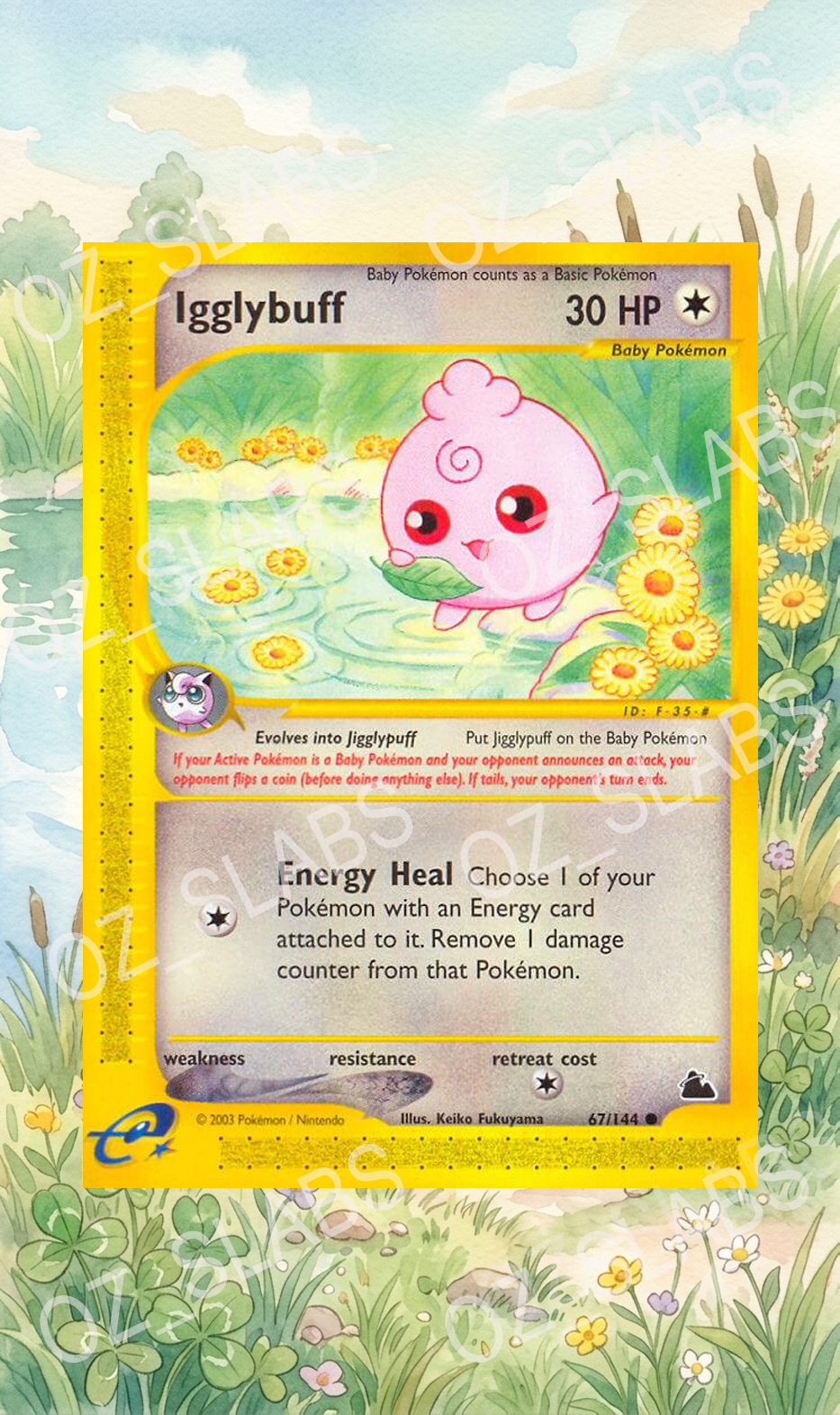 Igglybuff extended art case