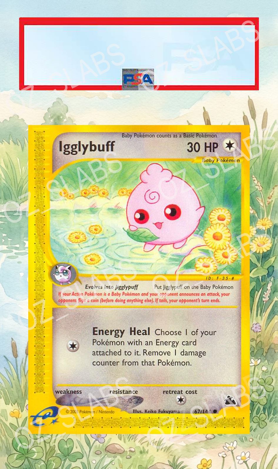 Igglybuff extended art case