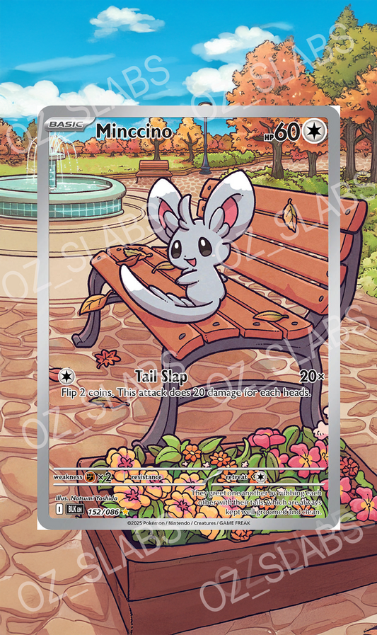 Minccino extended art case