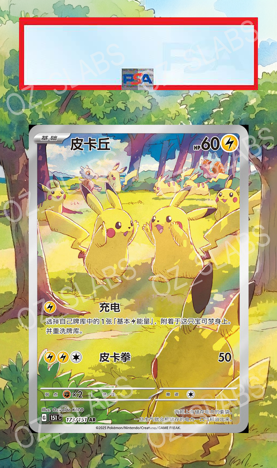 Pikachu extended art case