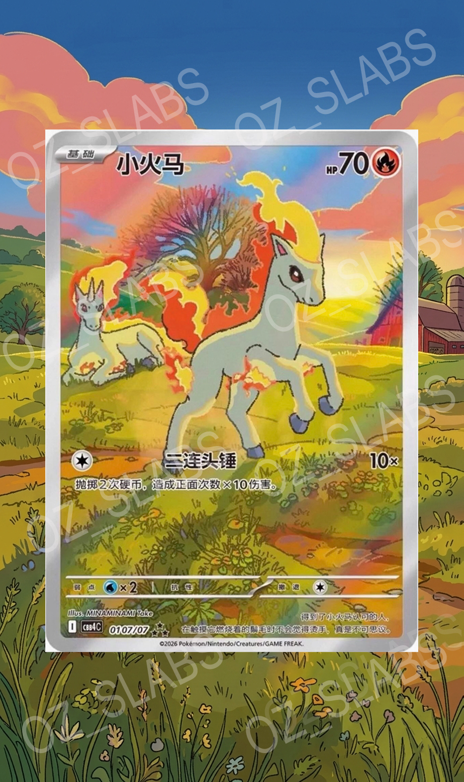 Ponyta extended art case