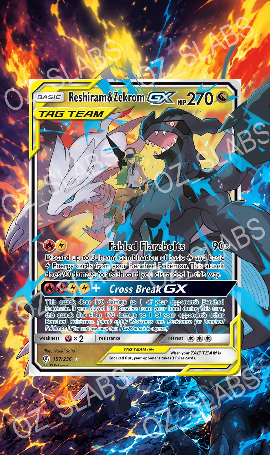 Reshiram & Zekrom GX extended art case