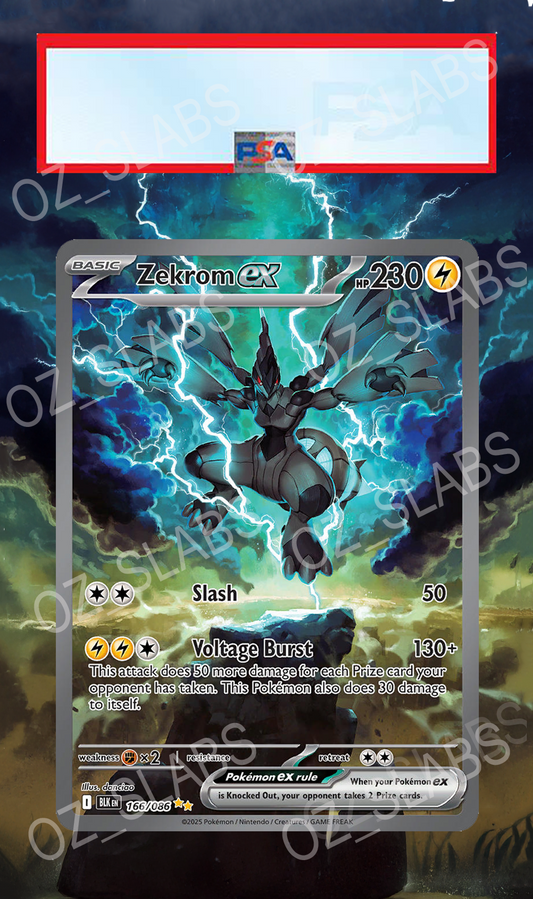 Zekrom EX extended art case