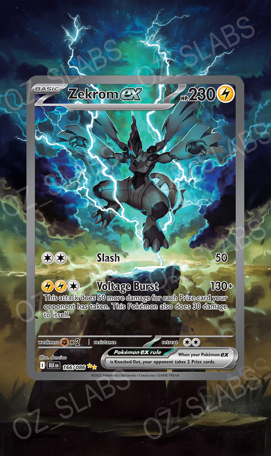 Zekrom EX extended art case