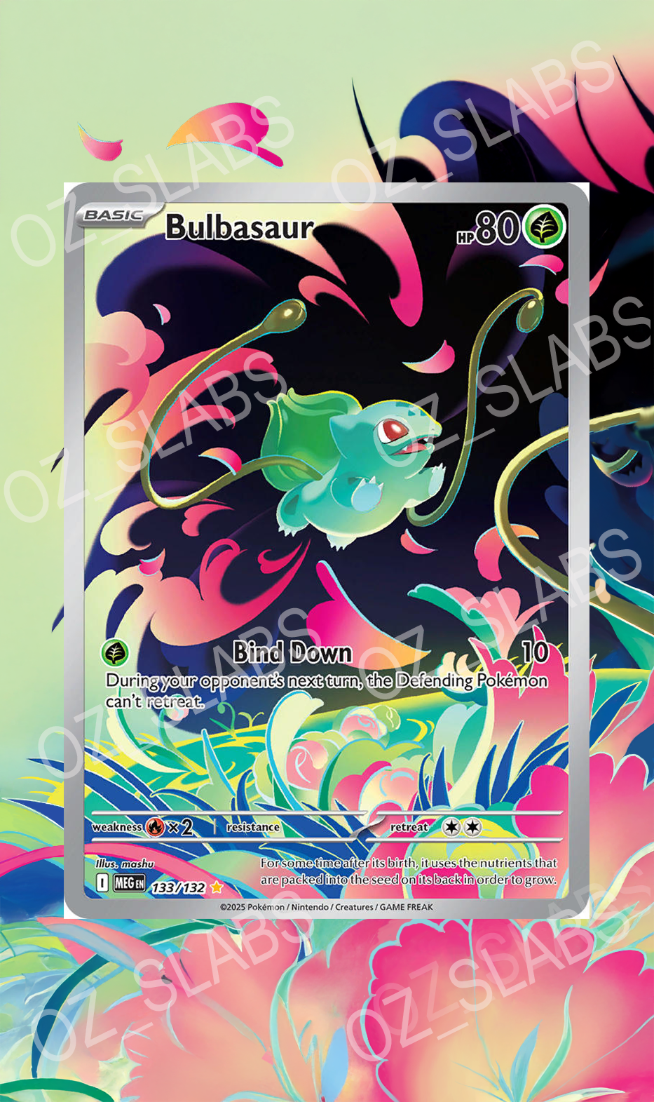 Bulbasaur extended art case