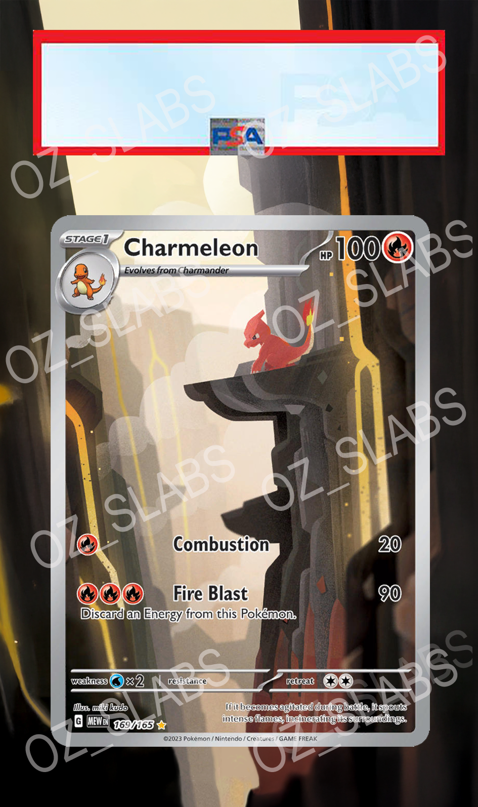 Charmeleon extended art case