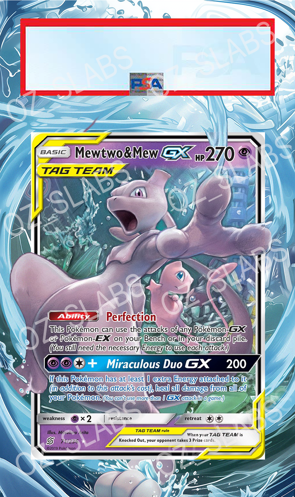 Mewtwo & Mew GX extended art case
