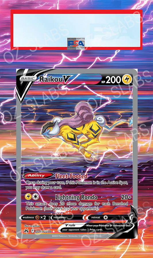 Raikou V extended art case