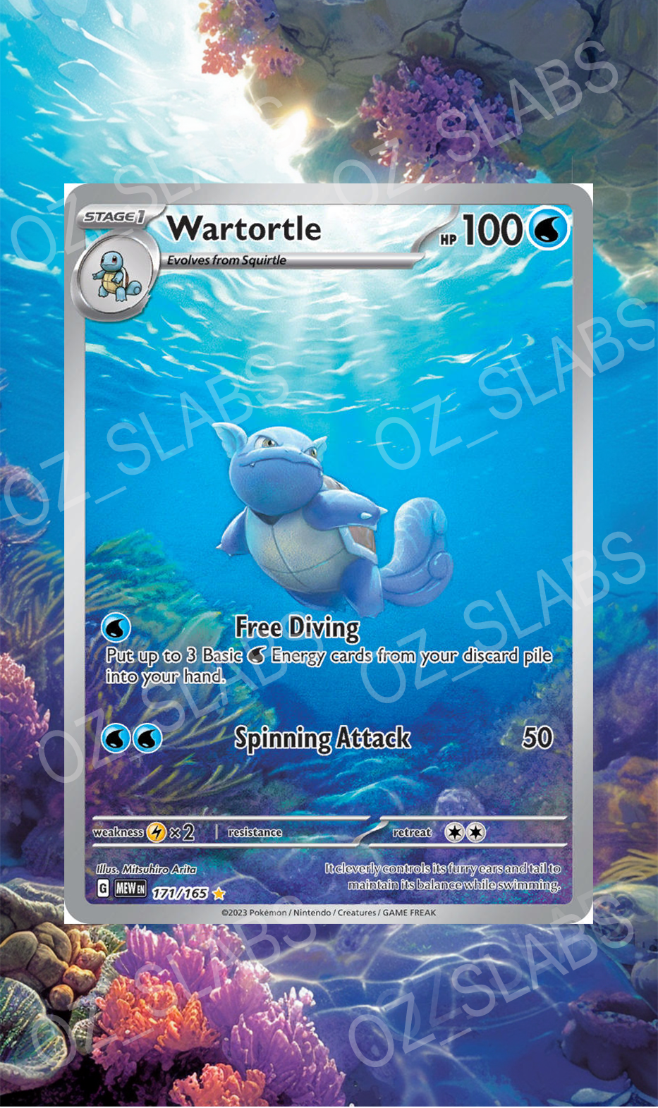 Wartortle extended art case